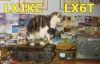 lx1kc.jpg
