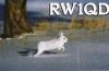 rw1qd.jpg